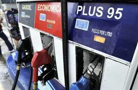 El precio de las naftas no va a subir, informaron hoy fuentes oficiales.