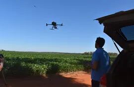 El uso de drones que toman imágenes para identificar problemas que hay en las parcelas, es algo que los productores están utilizando  con buen resultado.