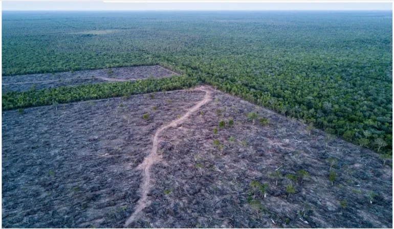 Ezequiel Santagada afirmó que cuando se habla de deforestación ilegal, de financiamiento ilícito de la política y de narcopolítica, “son tres cosas que están íntimamente relacionadas”.
