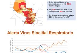 Parte del informe presentado hoy por el Dr. Guillermo Sequera. Arriba se ve el reporte sobre la situación nacional en cuanto al COVID y abajo las cifras de virus sincitial respiratorio.