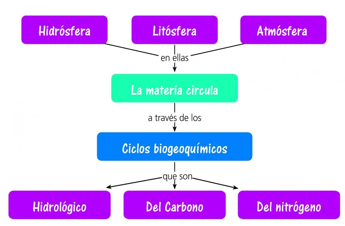 ciclo del carbono mapa konzeptionell