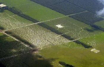 paraguay-con-mayor-porcentaje-de-deforestacion-en-el-gran-chaco-131854000000-519437.jpg
