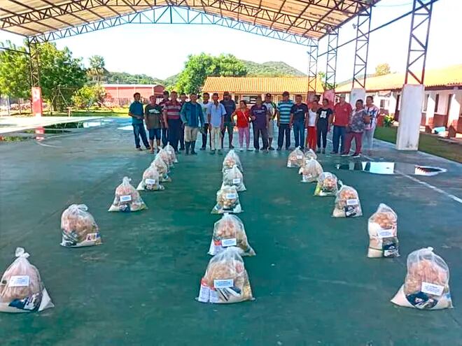 Los kits de alimentos entregados por el docente Arnaldo Herebia a las familias de agricultores de Fuerte Olimpo.