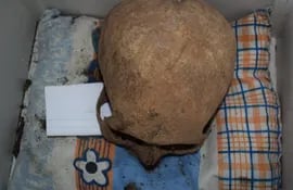 Un cráneo fue encontrado en el operativo realizado. Había sido robado del cementerio de la Recoleta, en Asunción.