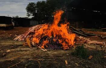 La droga fue incinerada en una laminadora de Minga Guazú.