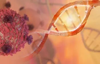 Los genes y el cáncer