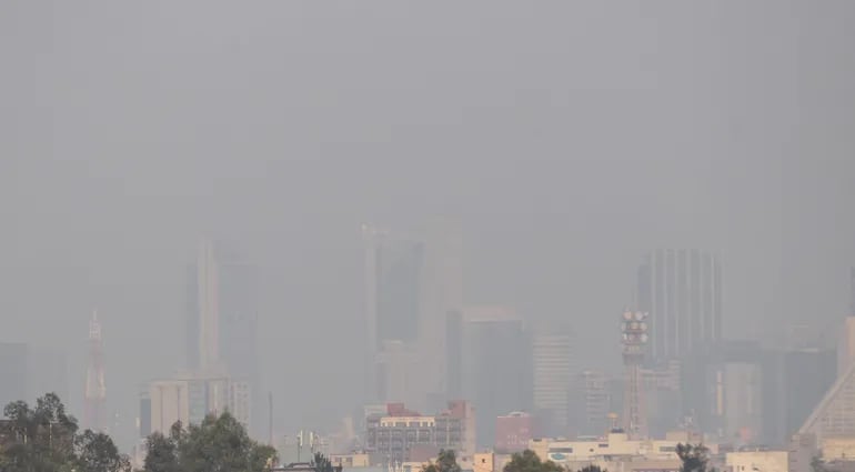 La contaminación del aire en las principales ciudades del mundo es evidente. El pleno del Parlamento Europeo aprobó este miércoles una normativa que establece límites más estrictos para los principales contaminantes atmosféricos, como las partículas finas y el dióxido de nitrógeno,.