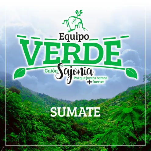 El sábado se realizará una minga ambiental en el parque Carlos Antonio López.