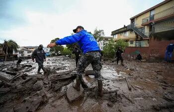 Personal policial intenta retirar un árbol caído por el alud de lodo ocurrido el día anterior, que afectó algunos barrios del oeste de la capital ecuatoriana y que causó al menos 18 víctimas mortales, según han informado las autoridades.
