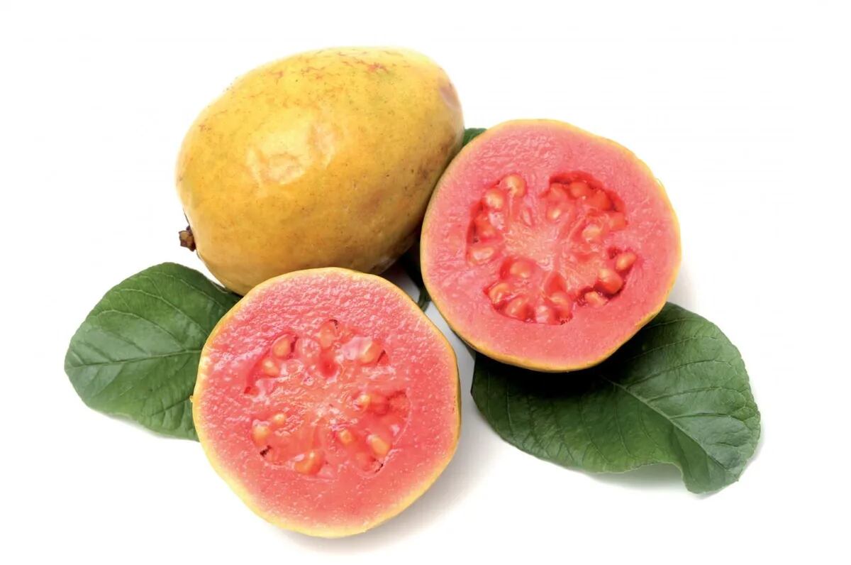 Guayaba: ¿Cómo se come y qué sabor tiene esta fruta dulce?