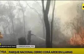 Captura de ABC TV. Incendio en Parque Nacional Cerro Corá.