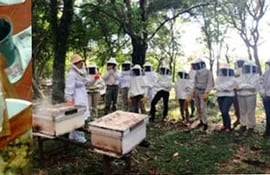 el-49-curso-nacional-de-apicultura-112446000000-1839812.jpg