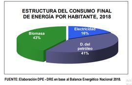 Estructura del consumo final de energía por habitante.