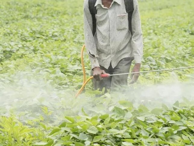 El uso de pesticidas en Brasil fue estudiado durante varios años.