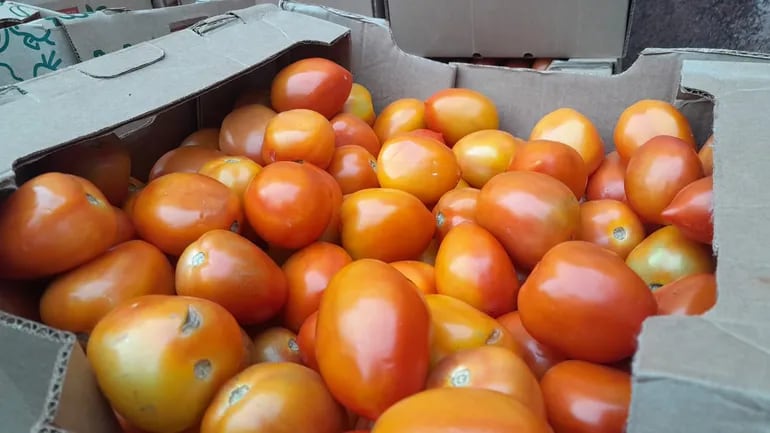 Productores ofrecen tomate a G. 9.000.