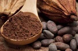 cacao-112824000000-1780702.jpg