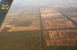 deforestacion-102834000000-1630213.jpeg