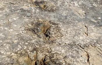 Rastro de pisadas de un dinosaurio carnívoro, hallado en el yacimiento de la de la Virgen del Campo, en La Rioja, España.