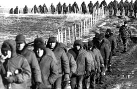 columna-de-soldados-argentinos-hechos-prisioneros-por-fuerzas-britanicas-durante-la-guerra-de-1982-archivo-202901000000-1376346.jpg
