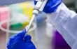 Dinamarca lanza alerta por mutación del virus Sars-CoV2. No obstante, científicos de la  OMS llamaron a la comunidad internacional a la calma.
