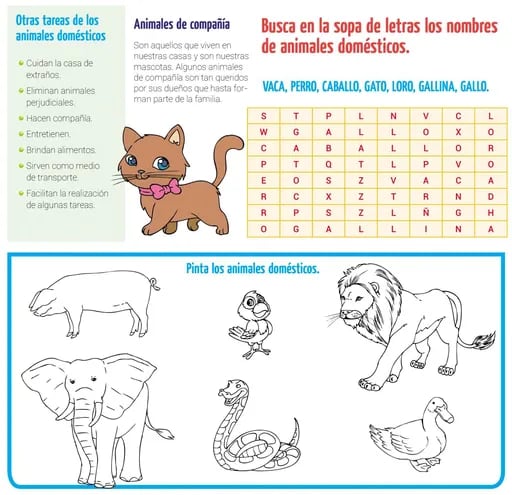 fotos de animales domesticos con nombres