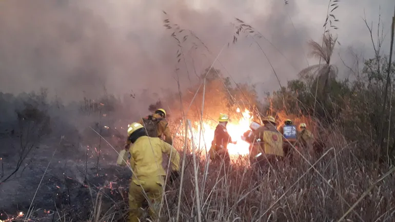Imagen de referencia. Hace cinco días los bomberos luchan para controlar el incendio dentro del parque Cerro Corá.