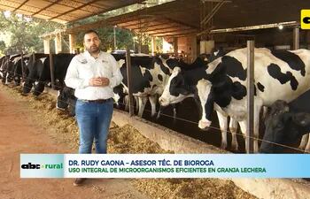 Aumento de producción de leche con microorganismos eficaces