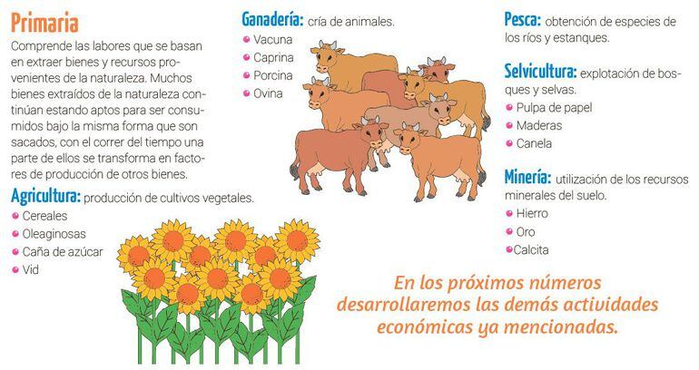 Actividades económicas del Paraguay (1) Escolar ABC Color