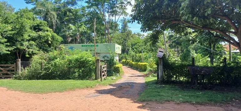 entrada al Club Ecológico. Portón de madera, árboles y arbustos