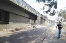 Cierran viaducto de Gral. Santos y Eusebio Ayala por árbol caído.