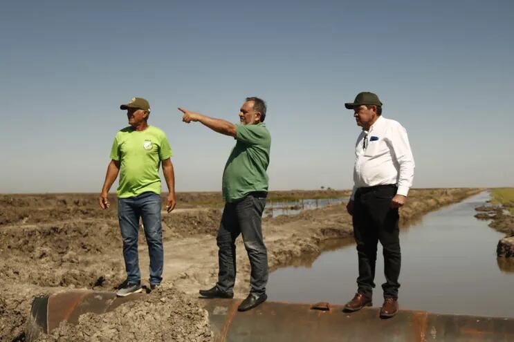 Los senadores Sixto Pereira y Pedro Santa Cruz visitaron el arrozal la semana pasada en Villa Oliva, ante la denuncia de los pobladores del grave daño al medio ambiente.