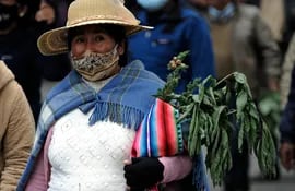 Una mujer con plantas medicinales con una mascarilla en su rostro.