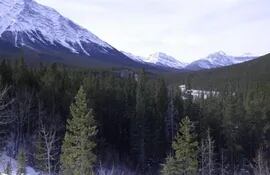 El corredor libre de hielo en Columbia Británica y Alberta fue el primer lugar donde las capas de hielo se derritieron al final de la última edad de hielo.
