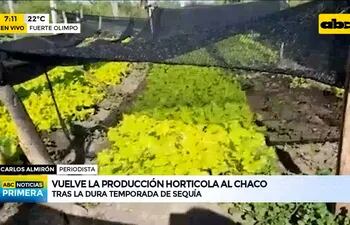 Fuerte Olimpo: La falta de lluvia preocupa a productores en el Chaco
