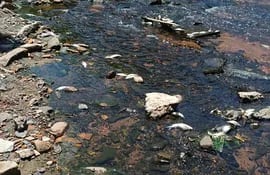 La aparición de peces muertos causó susto e indignación entre los vecinos del barrio Yukyty de Lambaré, ante el alto grado de contaminación visible en el arroyo Lambaré.
