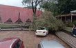 Un frondoso árbol cayó sobre un automóvil en el IPS Central, en medio del temporal registrado en la noche y madrugada.