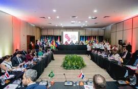 La 96° Reunión Ordinaria del Consejo Directivo del Instituto Interamericano del Niño, la Niña y Adolescentes (IIN) tuvo como sede Asunción y culminó hoy.