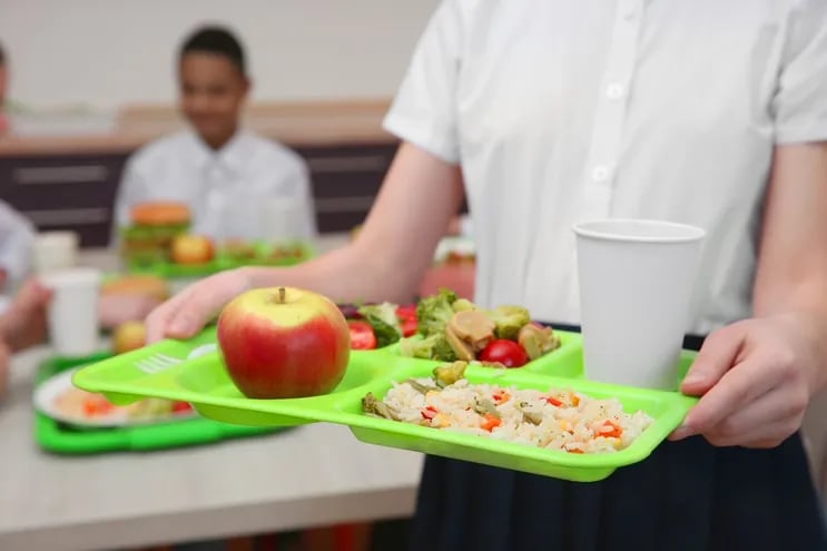 La alimentación escolar es de relevancia, sobre todo en escuelas donde hay escolar escolar extendida.