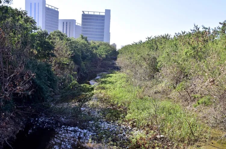 El arroyo Jaén, ubicado en el Parque de la Solidaridad a poca distancia de las oficinas de Gobierno.