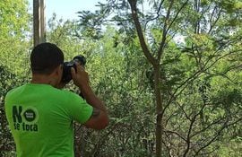 Organizaciones sociales realizan avistamiento y fotografía de aves en el Parque Guasu Metropolitano.