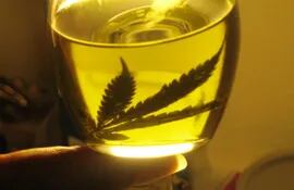 aceite-de-cannabis-185336000000-1464615.jpg