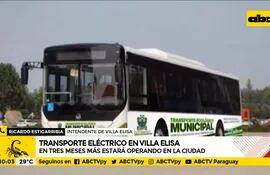 Transporte eléctrico en Villa Elisa