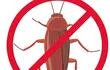 Ante la presencia de cucarachas en la casa usar insecticidas, cuidar que estos no queden al alcance de los niños, tampoco que contaminen los alimentos.