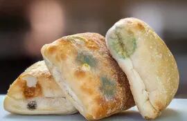 El pan se pone verde cuando es infectado con mohos.