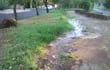 Un verdadero arroyo se formó en el paseo central de la Av. Japón por causa de una perdida de agua potable de ESSAP.