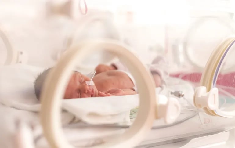 Un bebé prematuro duerme en una incubadora. (imagen referencial).