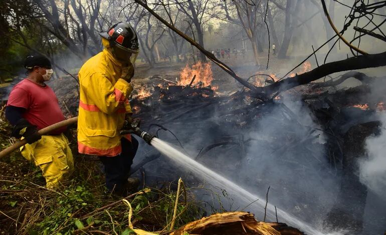 Bomberos peleaban ayer contra el fuego en el tacuaral del Jardín Botánico. Hubo más de 5.000 incendios en todo el país.