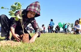 alumnos-de-escuelas-de-la-chacarita-plantaron-ayer-arboles-de-especies-nativas-en-la-costanera-capitalina--212608000000-1598922.jpg