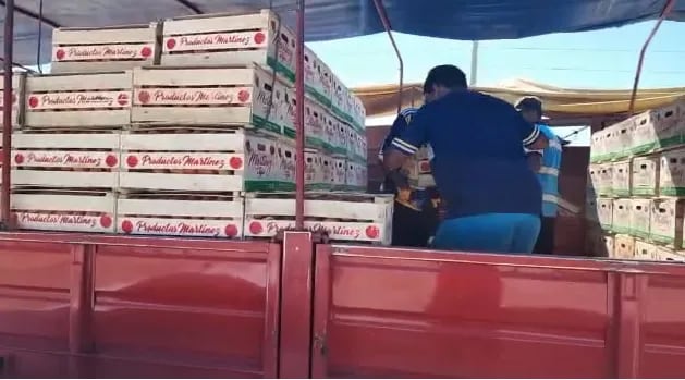 El tomate ingresa de contrabando al país en grandes camiones, a plena luz del día, denunciaron.
