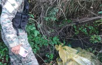 Personal de la Brigada Antiabigeato ubican restos del animal vacuno faenado en Carapeguá